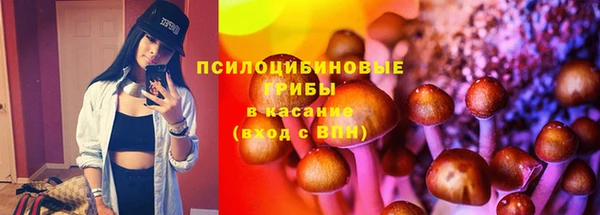 PSILOCYBIN Алексин