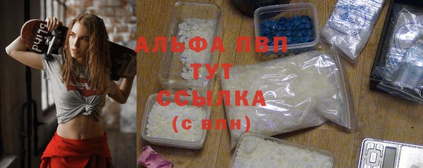 соль ск Надым
