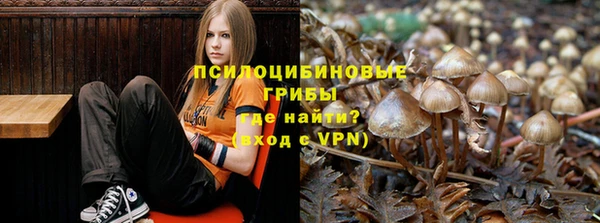 не бодяженный Алзамай