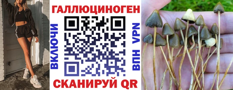 продажа наркотиков  Мичуринск  Галлюциногенные грибы Psilocybe 